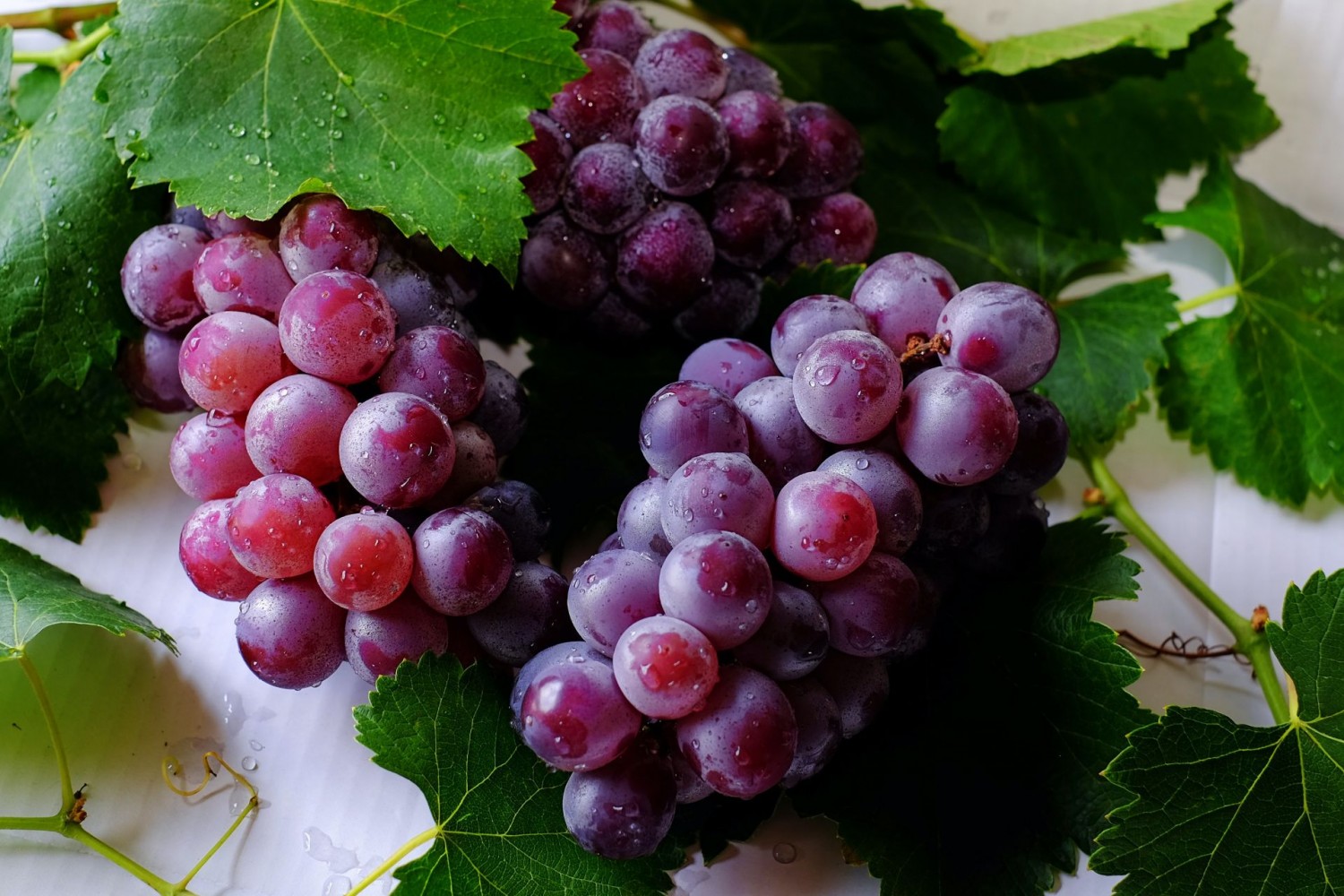 12 ok, amiért érdemes szőlőt fogyasztani